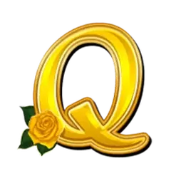 icon 10