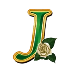 icon 11