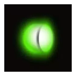 icon 9