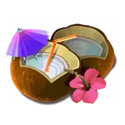 icon 4
