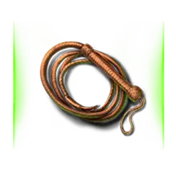 icon 10