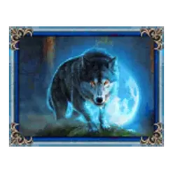 icon 4
