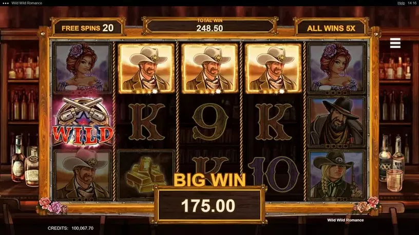 Wild Wild Romance slot screenshot 6
