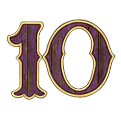icon 13