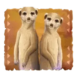 icon 5