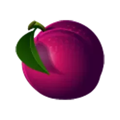 icon 12