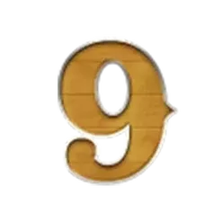 icon 13