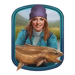 icon 3
