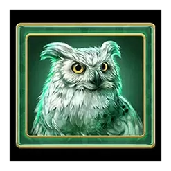 icon 4