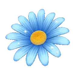 icon 4