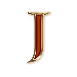 icon 9