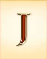 icon 9