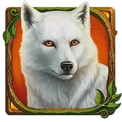 icon 4