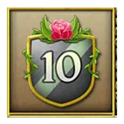 icon 13