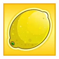 icon 4