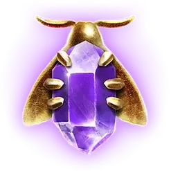 icon 5