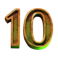 icon 10