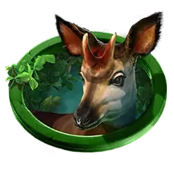 icon 4