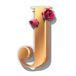 icon 10