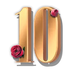 icon 11