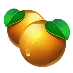 icon 6