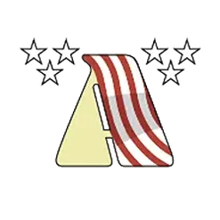 icon 9