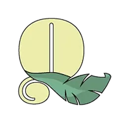 icon 11