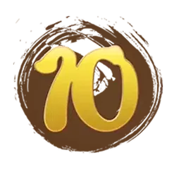icon 10
