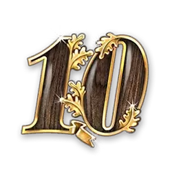 icon 10
