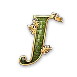 icon 9