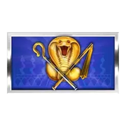 icon 5