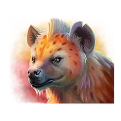 icon 4