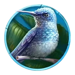 icon 6