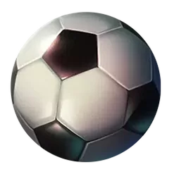 icon 10