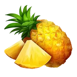 icon 4