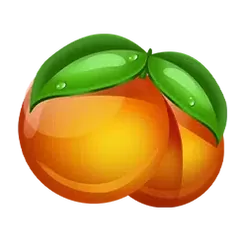 icon 5