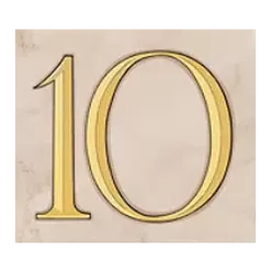 icon 10