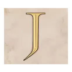 icon 9