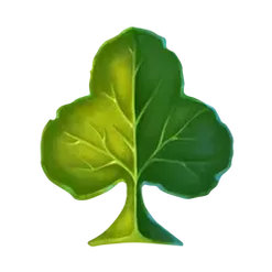 icon 10