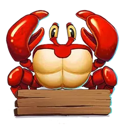 icon 9