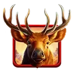 icon 1