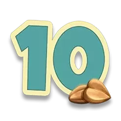 icon 10