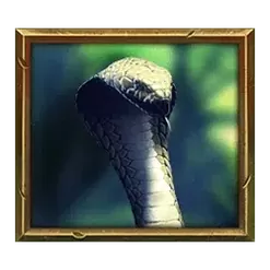 icon 5
