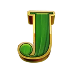 icon 9