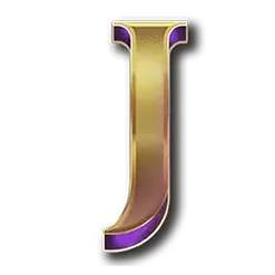 icon 9