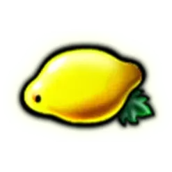 icon 6