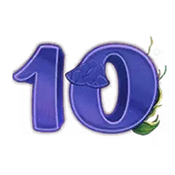 icon 9