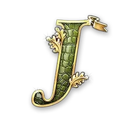 icon 10