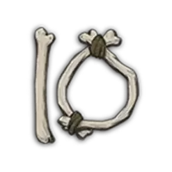 icon 10