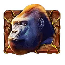 icon 2